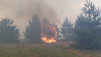Изплащат 400 хил. лв. обезщетения на земеделците, пострадали от пожарите в Хасковско