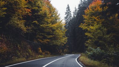 Как да шофираме при мъгла?