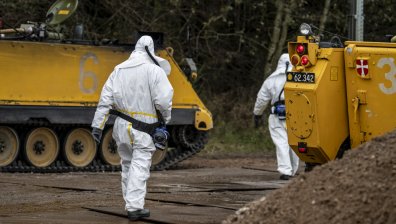 Дания ексхумира милиони заровени норки, за да избегне екокатастрофа