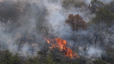 Огнен Ад в Сърбия: Близо 45 активни пожара в страната, има и жертва