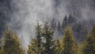 Времето днес: Повече облаци и температури до 12&deg;