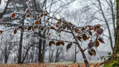 Времето днес: Февруари си отива с дъжд и ниски температури
