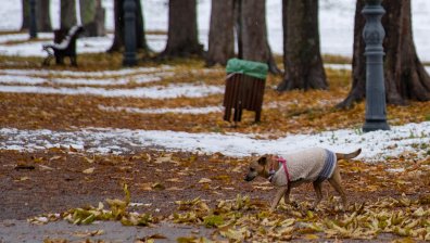 Времето се влошава: Жълт код за силен вятър в няколко области за събота