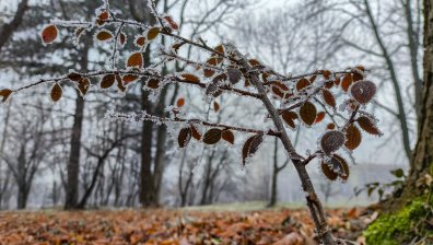 Времето днес: Мразовит и облачен четвъртък с превалявания от дъжд