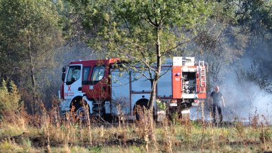 Застрашени от изчезване животни са в опасност заради пожар край Тутракан (ВИДЕО)