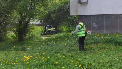 Косенето спъва пръскането срещу кърлежи в София