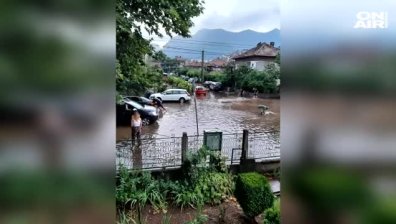 Паднали дървета блокираха улиците във Враца, поройни дъждове в Монтана и Видин