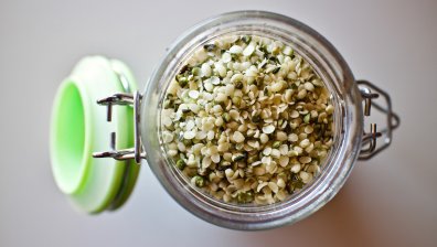 Конопеното семе заздравява костите и ни зарежда с протеини