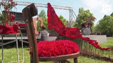 Инсталация с над 4 000 карамфила - част от изложение "Флора" в Бургас