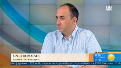 Еколог: Планетата гори! Политиците да говорят повече за изменението на климата