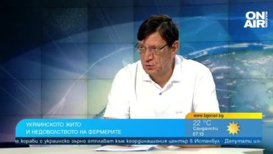 Ще се стигне ли до фалити на български зърнопроизводители и опасно ли е украинското зърно?