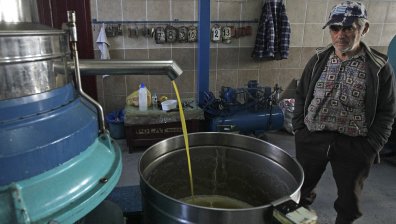 "Течното злато" - зехтинът в Гърция поскъпна с 212% за година