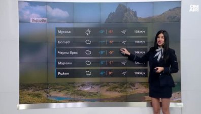 Централна прогноза