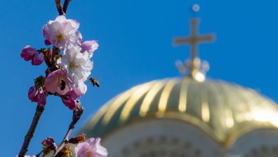 Православната църква почита Свети Тома