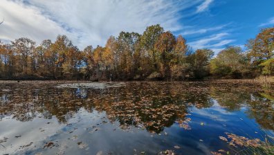 Жълт код за силен вятър в сряда в части от България (+КАРТА)