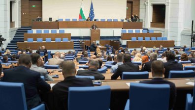 Езиковед: Вербалната агресия при политиците показва много ниско възпитание и култура