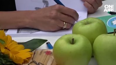 Дракончето Ринти: една история от Майорка
