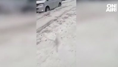 Противоградни&nbsp;ракети спасиха Великотърновско от бедствие