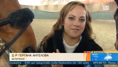 В празника на ветеринаря &ndash; лечебна ли е конната езда?