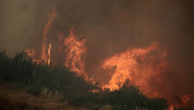 МОСВ нареди спешни мерки заради риска от пожари