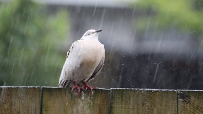 Облачен вторник: Къде ще превали в днешния ден?