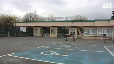 Зоопаркът в София на 130 г.! Замислят ремонти и нови видове