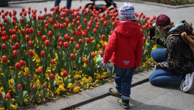 Пролетни температури обхващат страната, на запад обаче ще вали