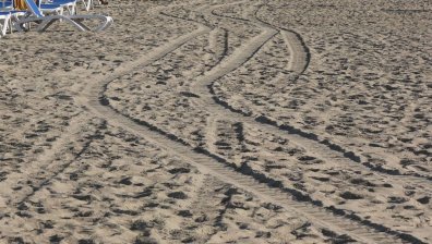 Задържаха шофьора на почистващата машина, премазала дете на плаж в Созопол