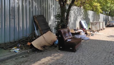 Сигнал: Пълни кофи за боклук, кучета разнасят сметта