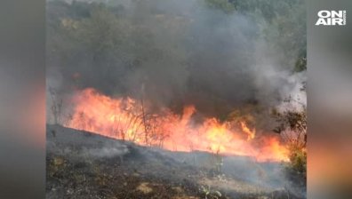 Продължават опитите за потушаване на пожара над Котел (Обновена)