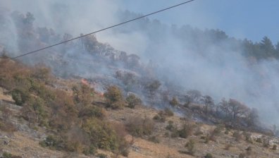 Над 50 хил. дка гори са изгорели при пожарите в Хасковско