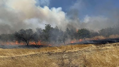 Сухи треви горят между Стралджа и пътен възел "Петолъчката"