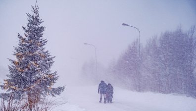 Мощната буря "Йоханес" взе две жертви в Швеция