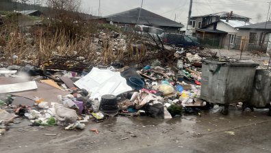 Улици в кв. "Факултета": Планина от боклуци край пътното платно