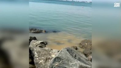 Фекални води се изляха в морето край плажа на Свети Влас