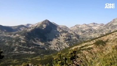 Една фалшива новина от България обиколи света за часове