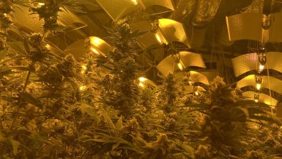 Открили нарколабораторията в кв. "Кремиковци" след жесток гаф на пътя