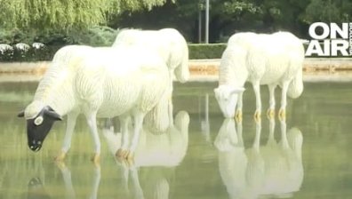 Скулптурата "Водна паша" ще вдъхновява хората да вярват в доброто за постоянно от Южния парк