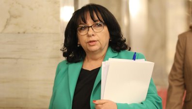 Теменжука Петкова: На слаб президент еврото му е виновно