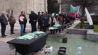 Стотици варненци на опашка за безплатни дръвчета