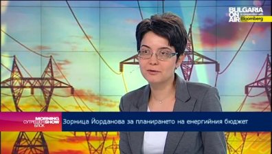 В ЧЕЗ постъпили над 1000 заявления за разсрочено плащане на задължения