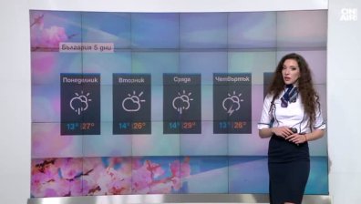 Централна прогноза