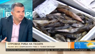 Риба с олово и яйца с фипронил: Какво ядем?