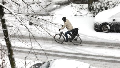 Рекорден снеговалеж в Аляска, покривите не издържат под тежестта му