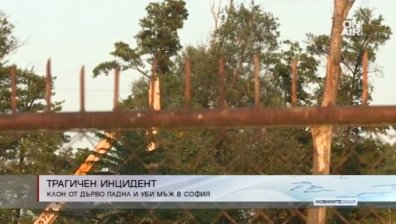 Паднал клон погуби 38-годишен мъж в София