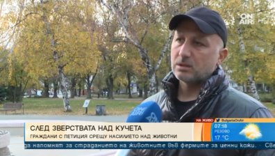Пуснаха на свобода Ангелин, изтезавал кученце в Мъглиж