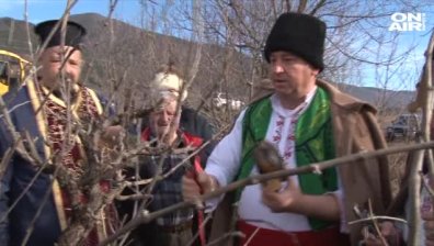 Отбелязваме Трифон Зарезан - празник на лозаря и виното