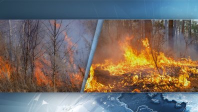 Пожар пламна в Странджа, горят около 500 декара сухи треви