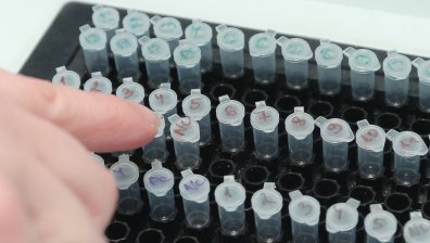 Ковид-19 отстъпва: 32 са новите случаи, в болници остават 168 пациенти