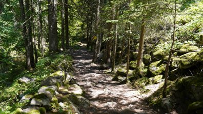 Жега до 38 градуса във вторник, времето ще е приятно в планините